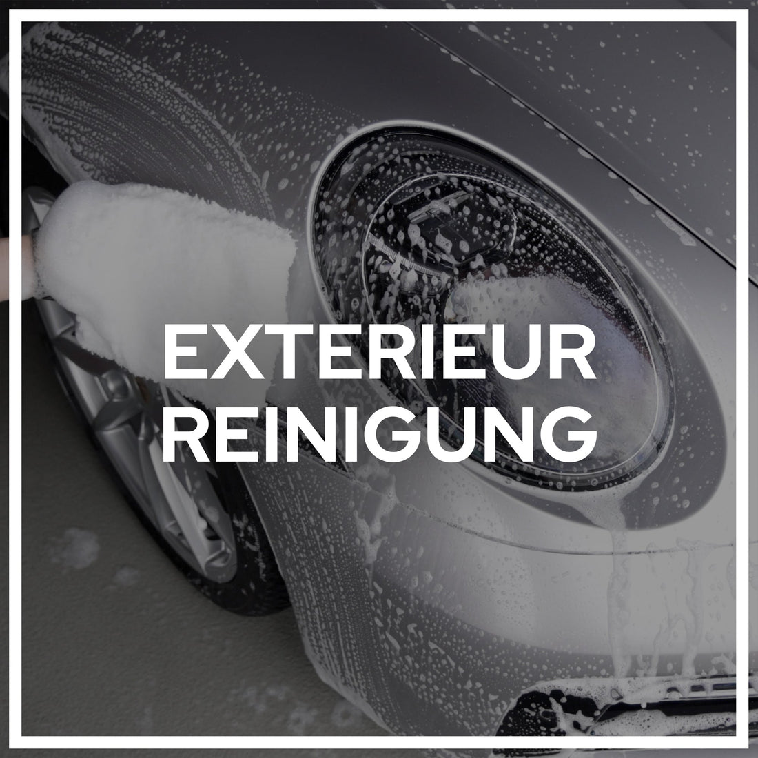 Exterieur Reinigung
